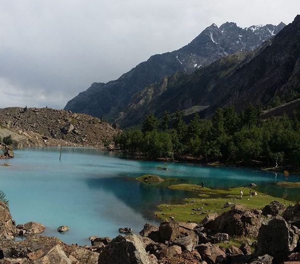 Naltar Daintar Pass Trek in Gilgit-Baltistan